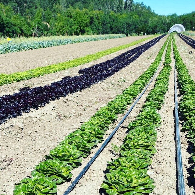 ef194212-309f-4b4e-9ae2-fc2f5fb86da5