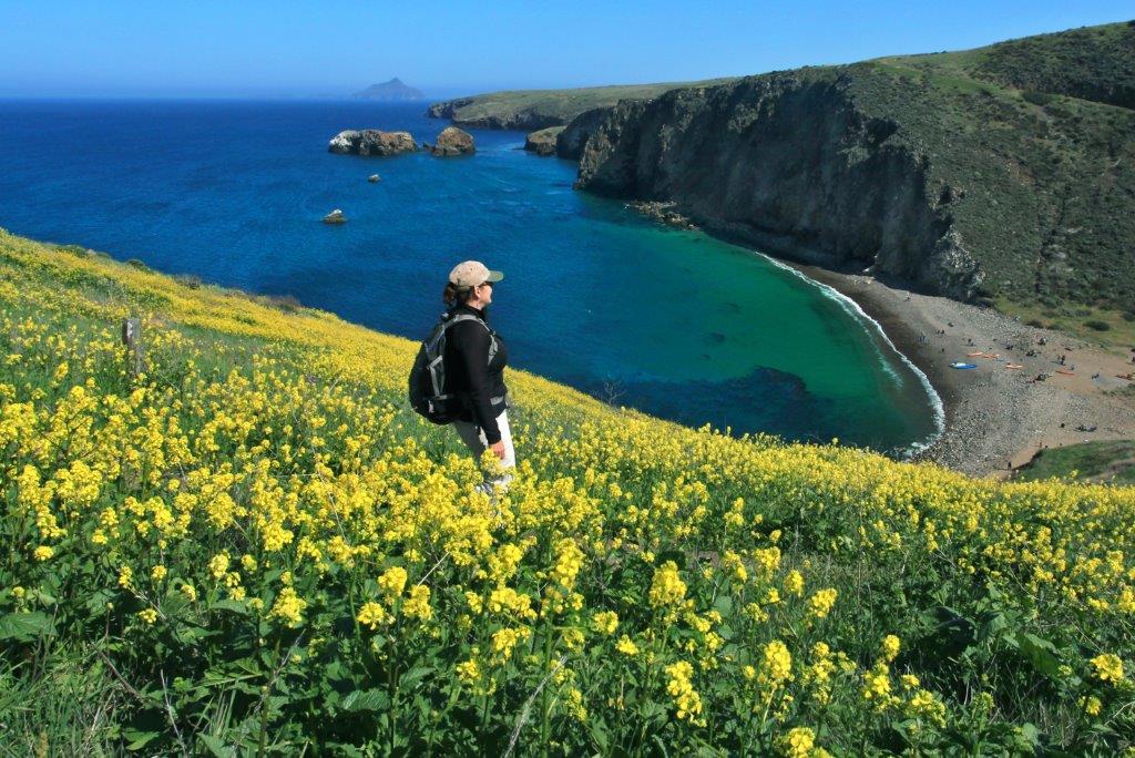 esci-flowers_island-packers_doug-mangum