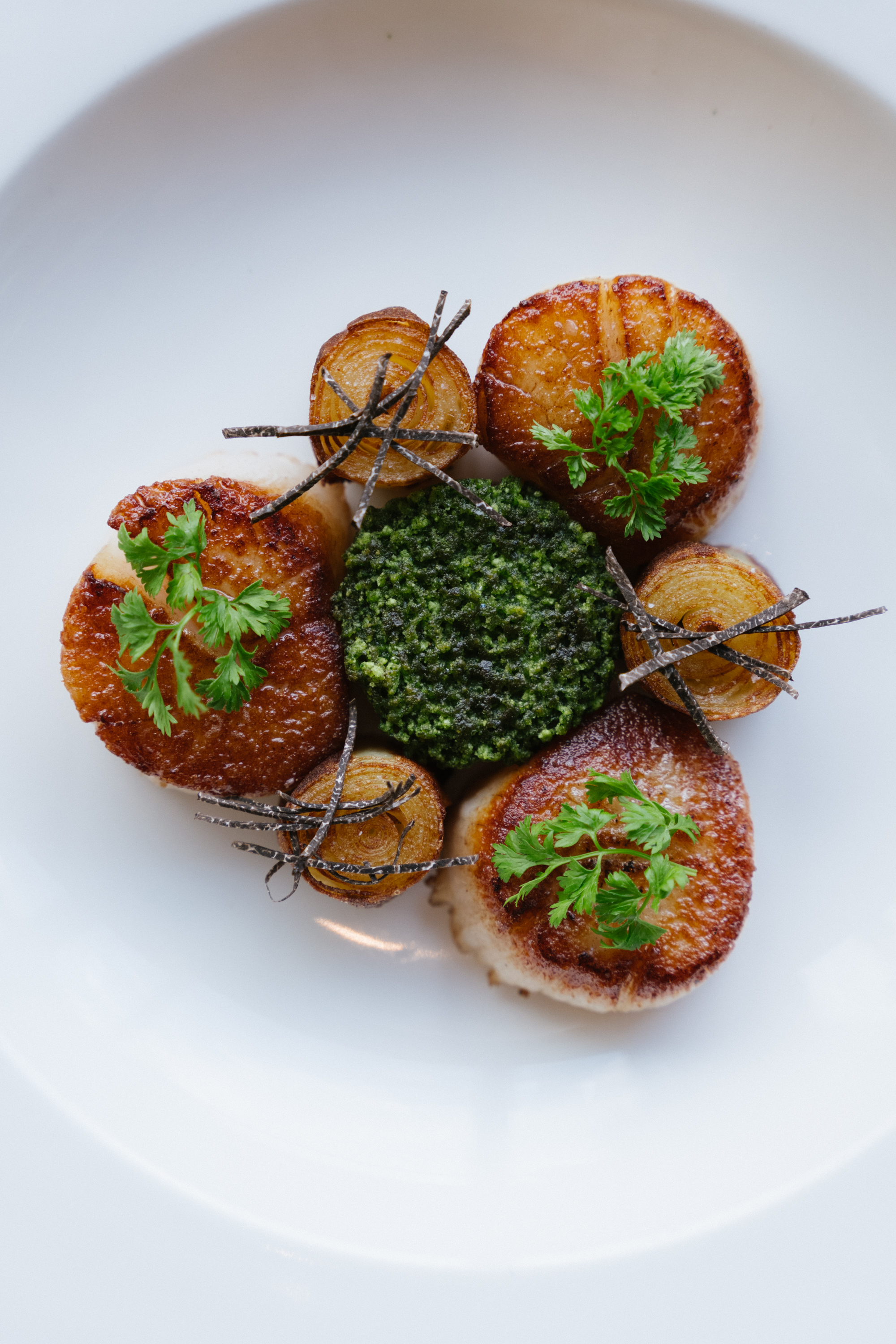 pan-seared-diver-scallops-potatoes-fondant-buttered-leeks-black-truffle-vichyssoise