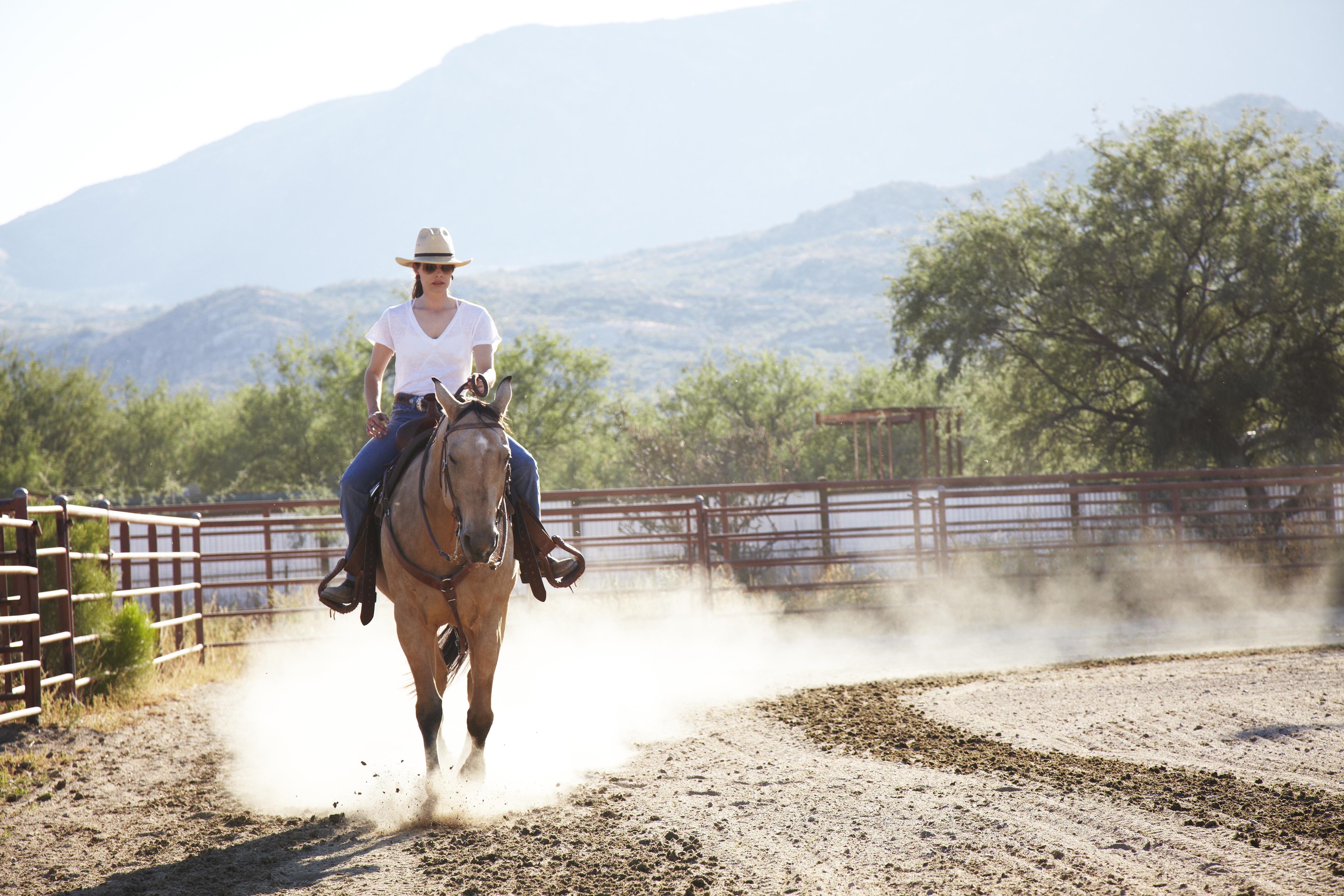 equestrian