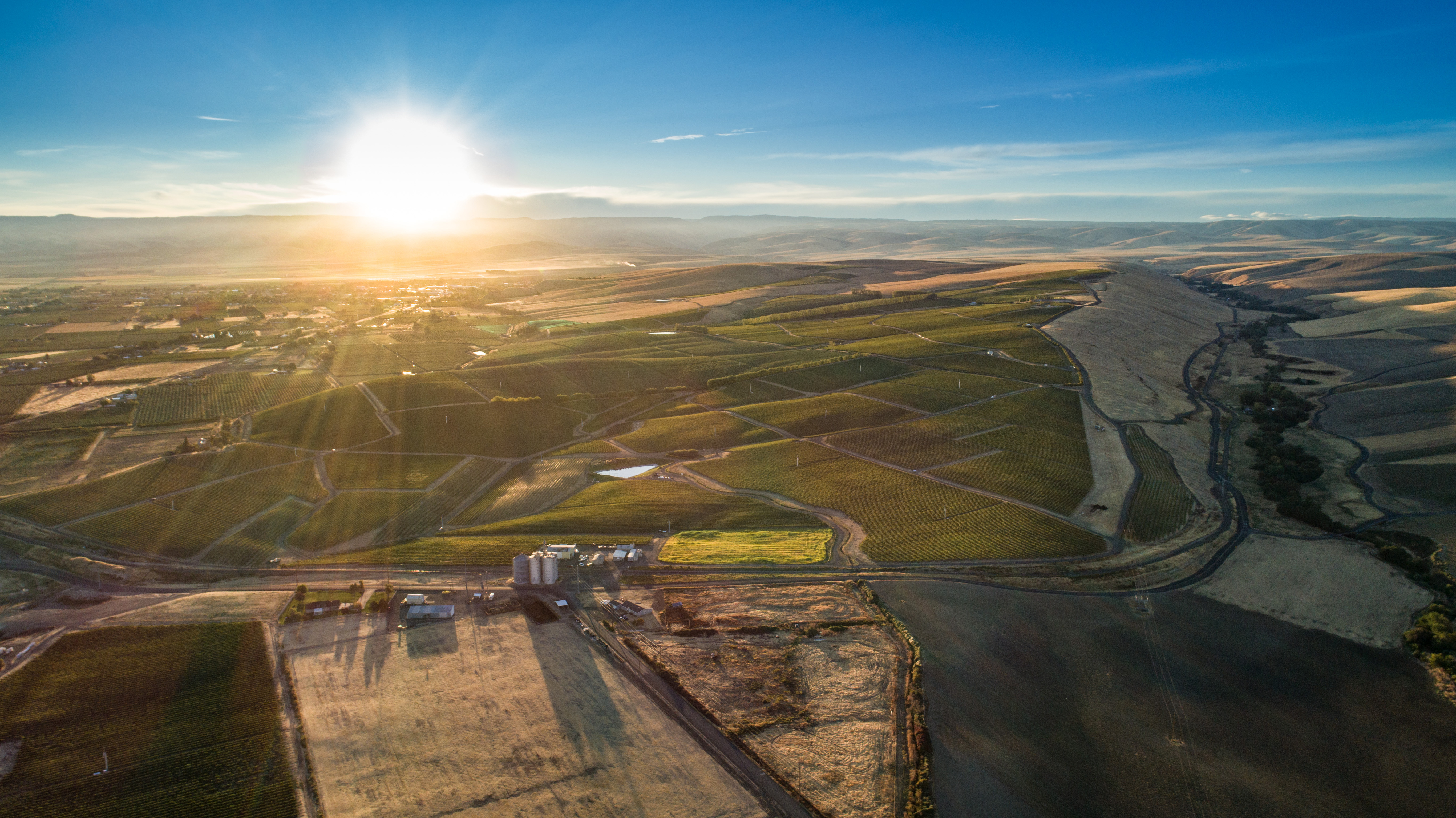 estate-seven-hills-vineyard_edit