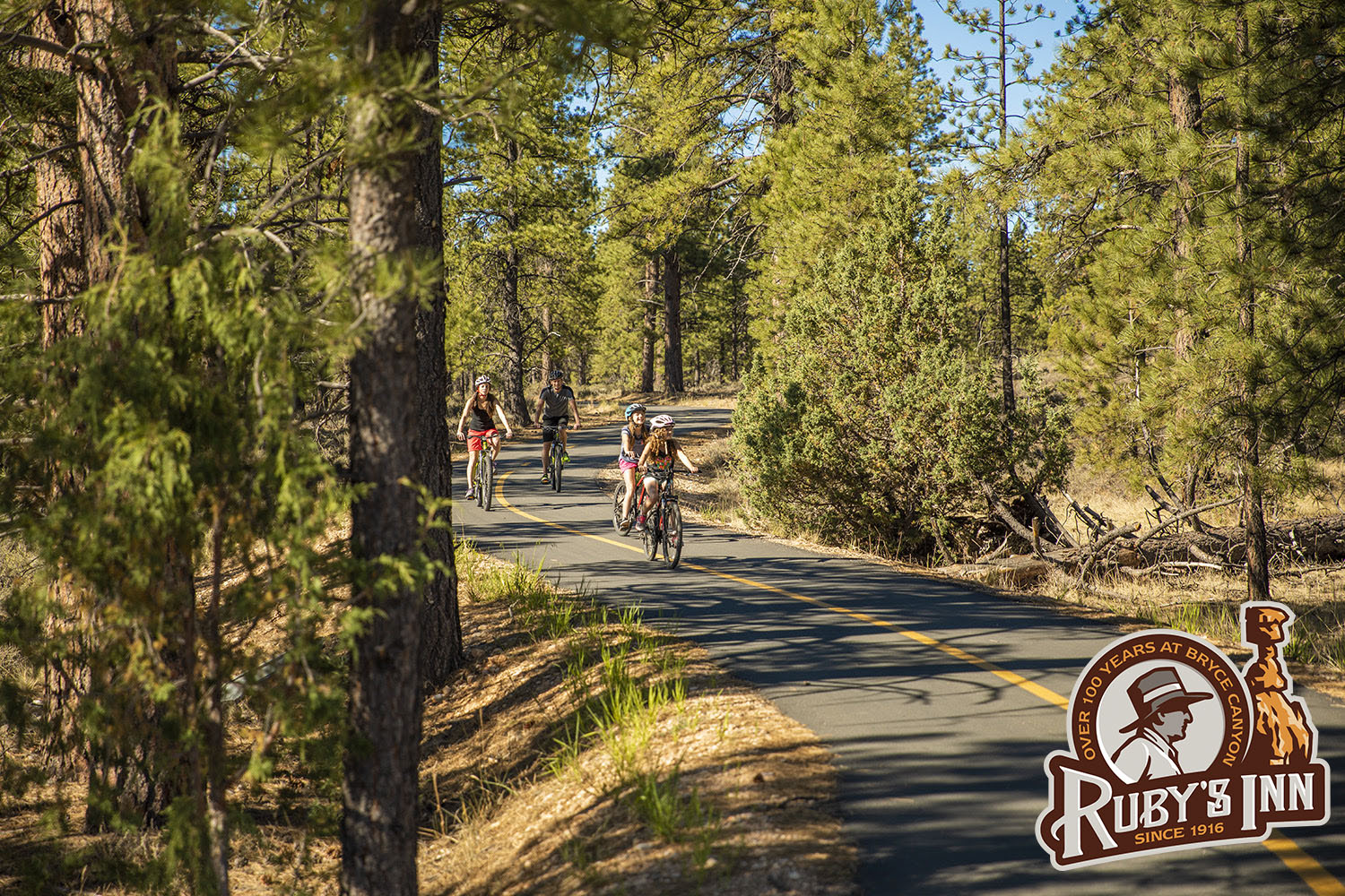 mountain-bike-rentals