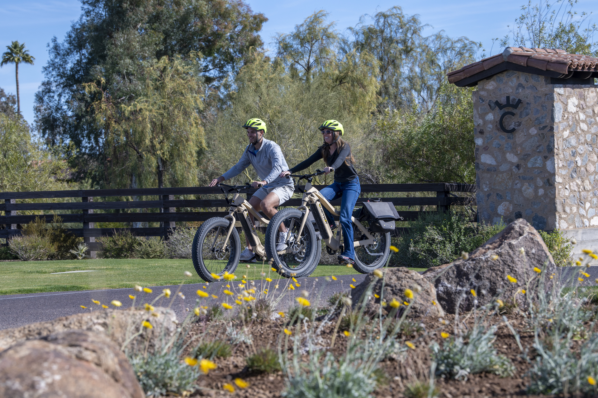 e-bikes