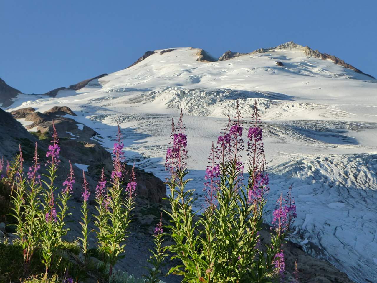 fb_img_1503785170584