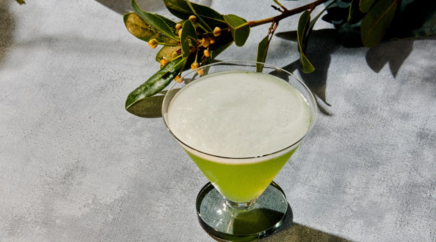 optimist botanical spirits fresh cocktail