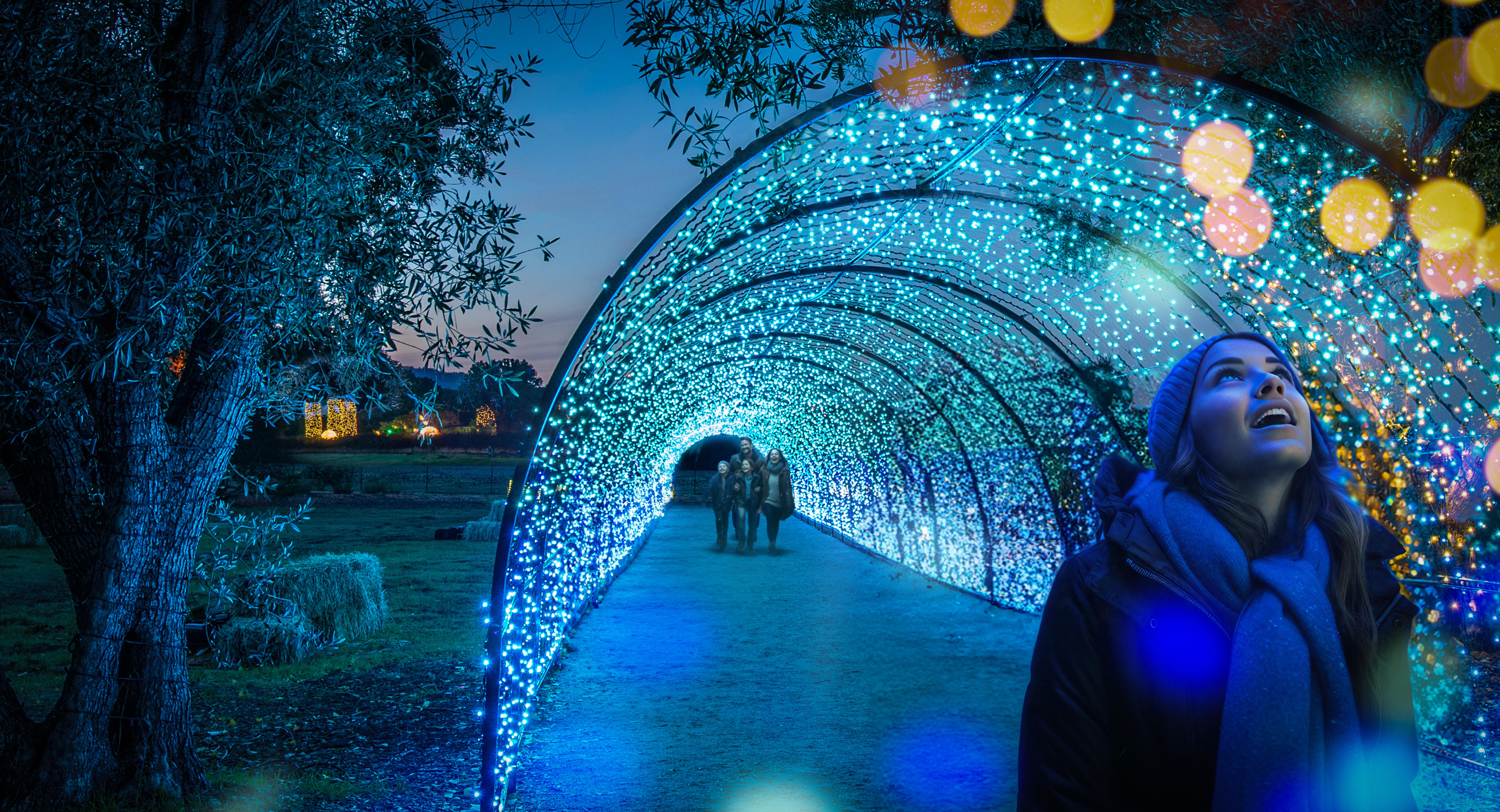 miles-of-lights-during-holidays-at-filoli