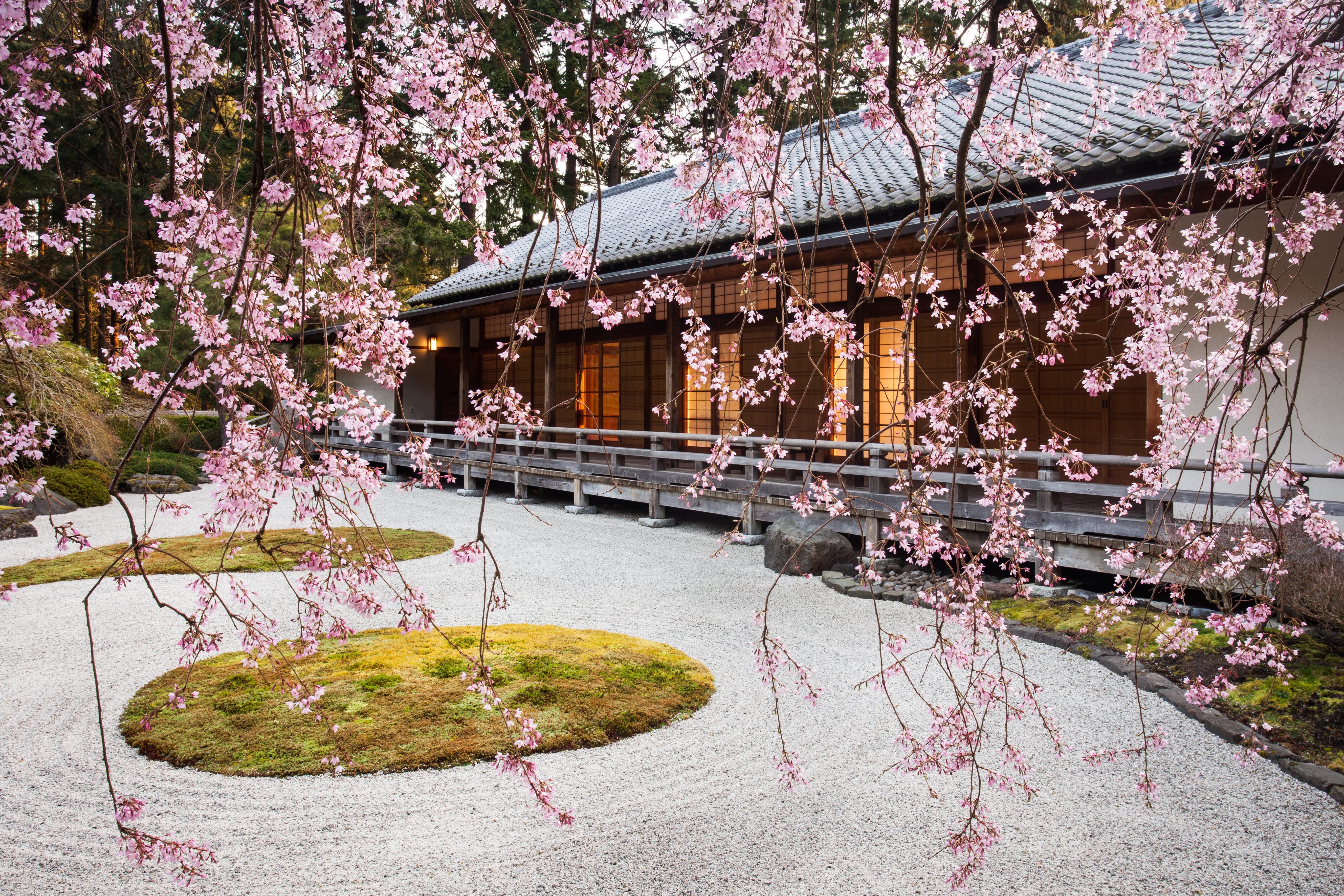 flat-garden-and-pavilion-from-beneath-the-weeping-cherry-photo-by-joanthan-ley-1