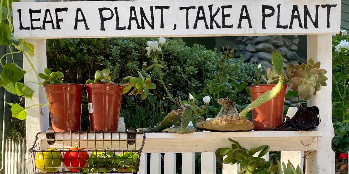Free Plants in Eagle-Rock on Shelves