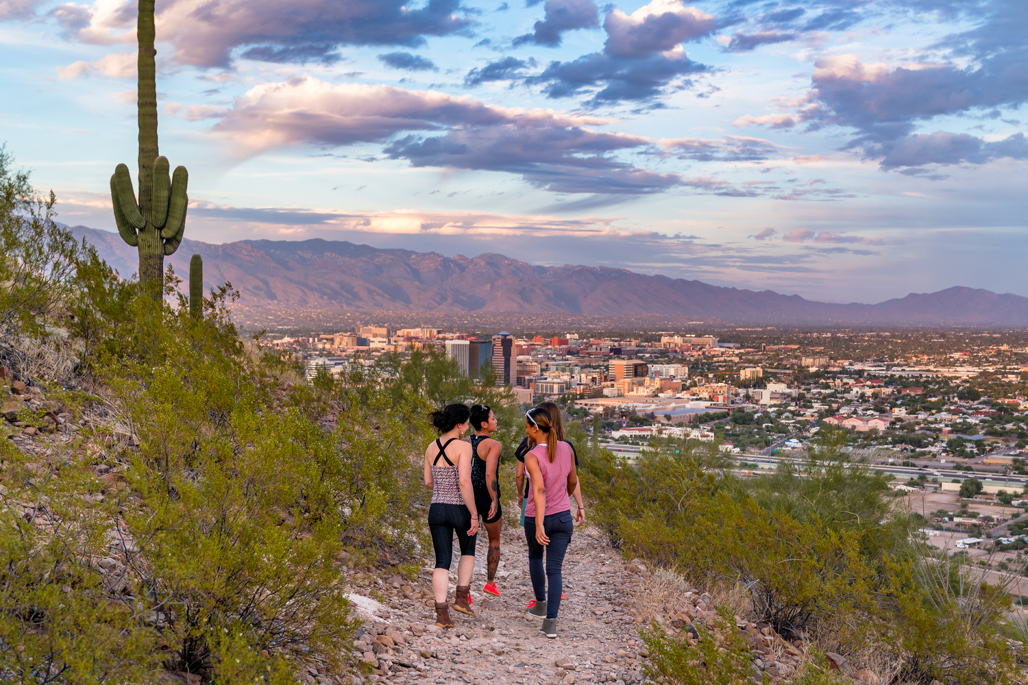 surrounded-by-five-mountain-ranges-tucson-is-bookended-by-saguaro-national-park