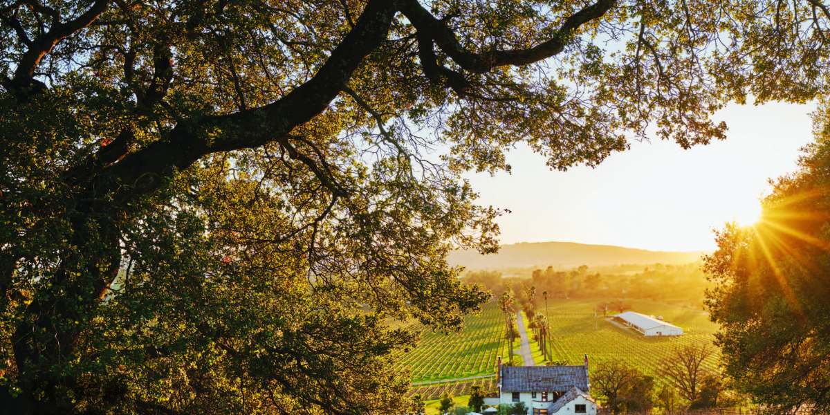 Cover of Sunset's 2021 Garden Issue, with people sitting in the grass watching the sunset