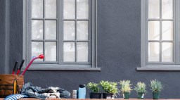 Front yard with plants lined up