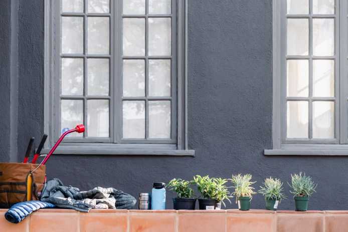 Front yard with plants lined up