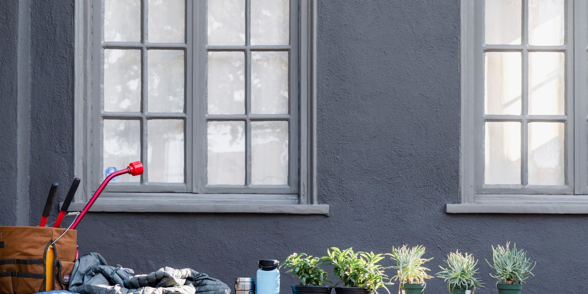 Front yard with plants lined up