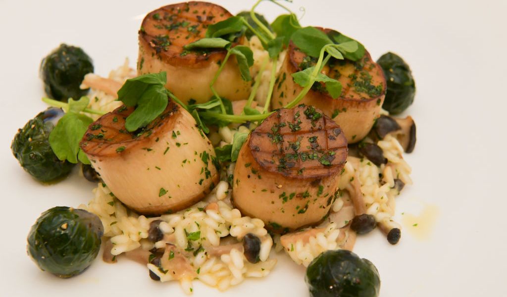 Celebs Go Vegan for the Golden Globes This Year