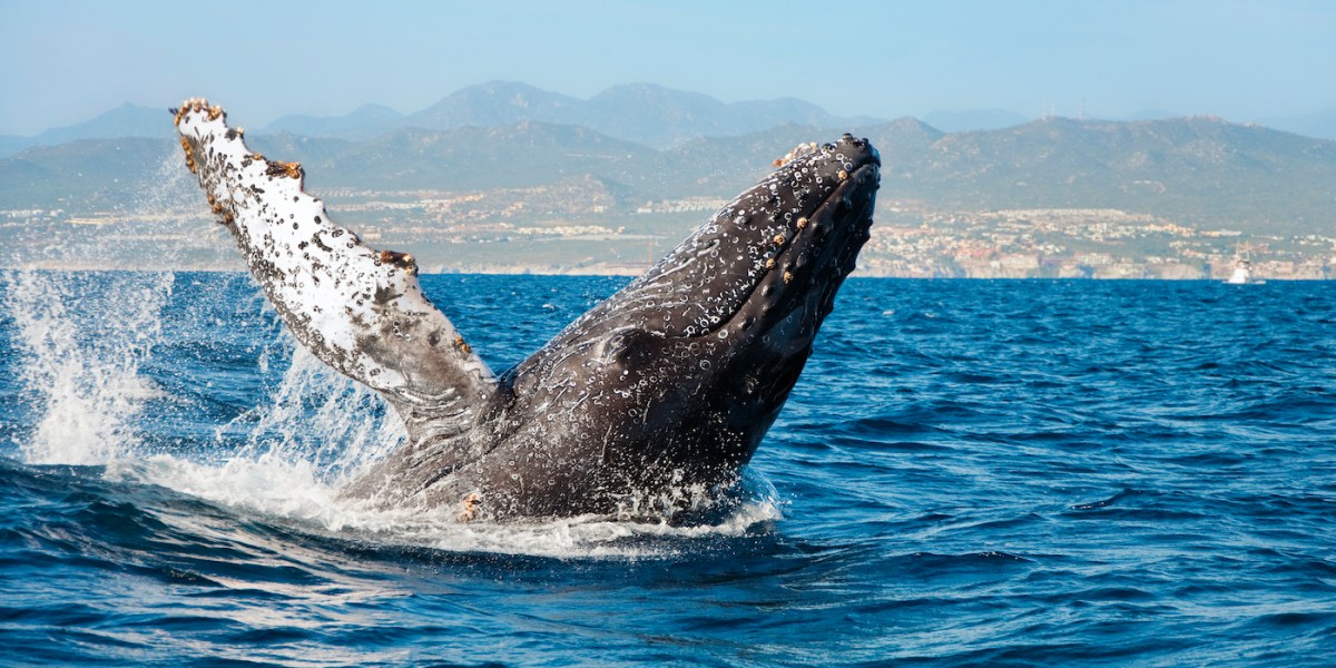 Now Is the Absolute Best Time To Book This Bucket List California Trip (But You Only Have Until April to Do It!)