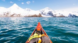 Kayak in Kenai Fjords National Park