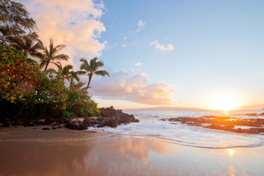 No, You Should Not Be Taking Your Vacation in Maui Right Now