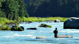 Alaska Salmon Fishing