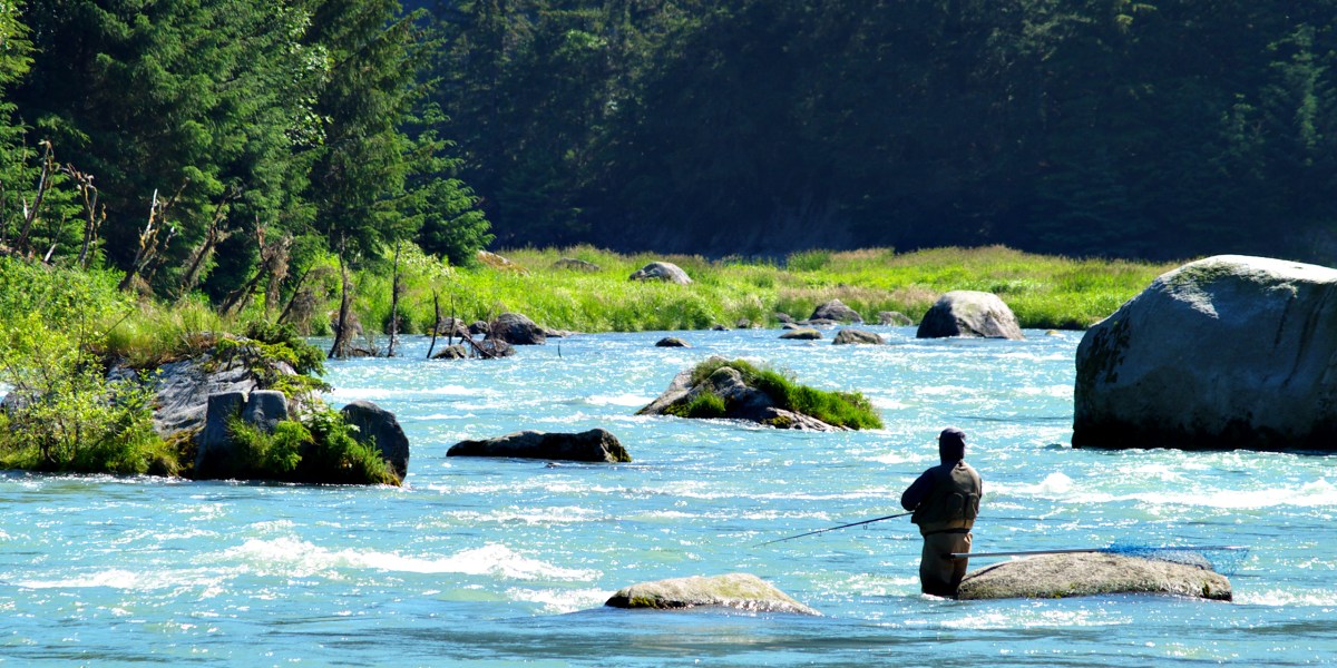Alaska Salmon Fishing