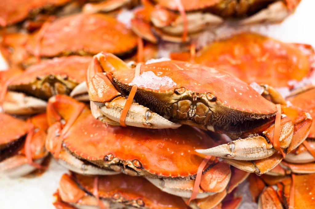 Dungeness Crab Season Is Officially Delayed: Here Are 9 Seafood Recipes to Tide You Over