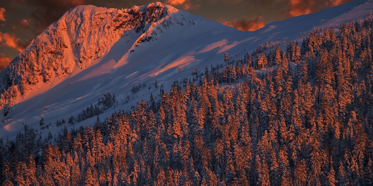 Tongass National Forest