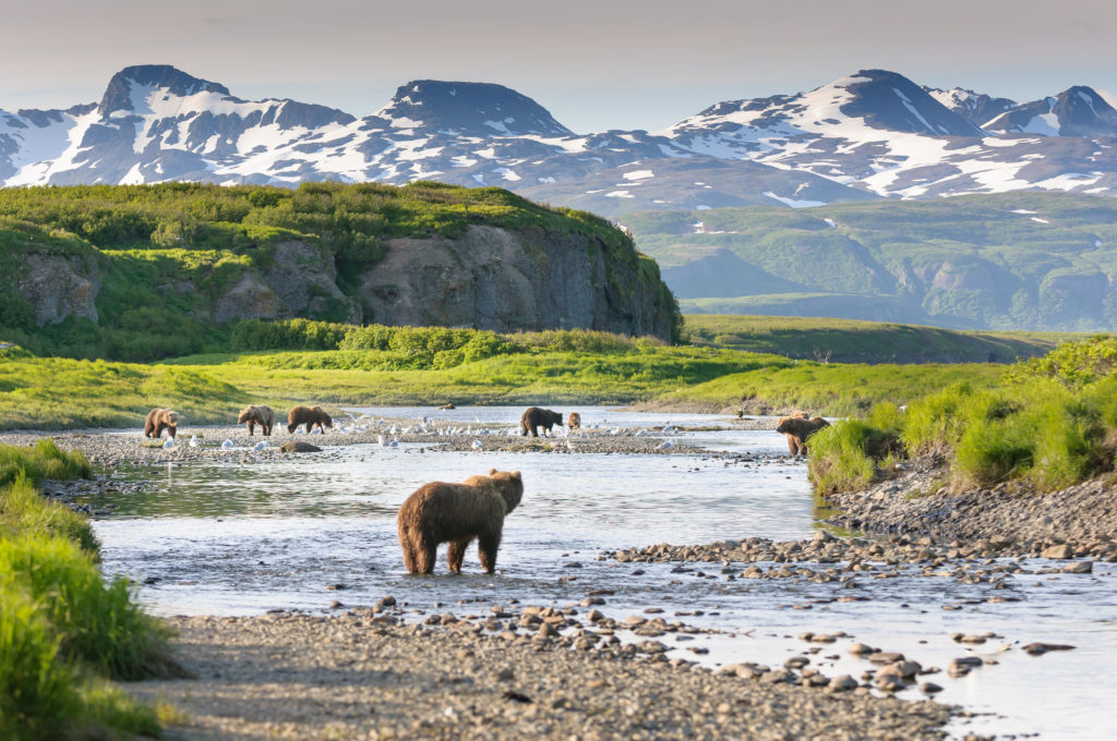 Katmai National Park