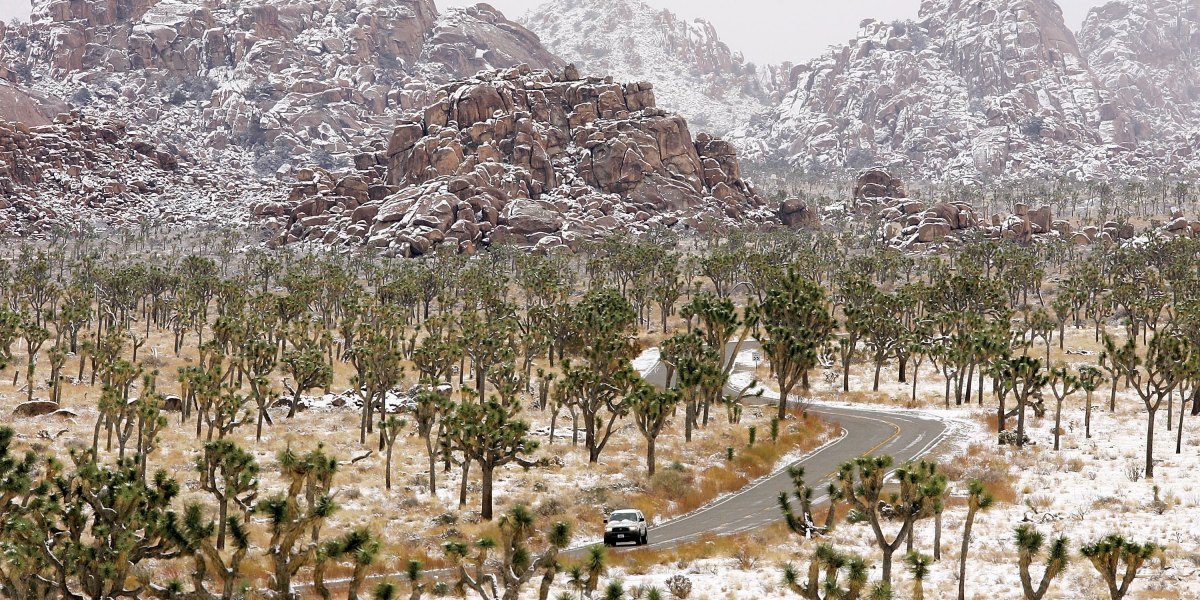 Joshua Tree National Park Looks Insanely Beautiful After Snow