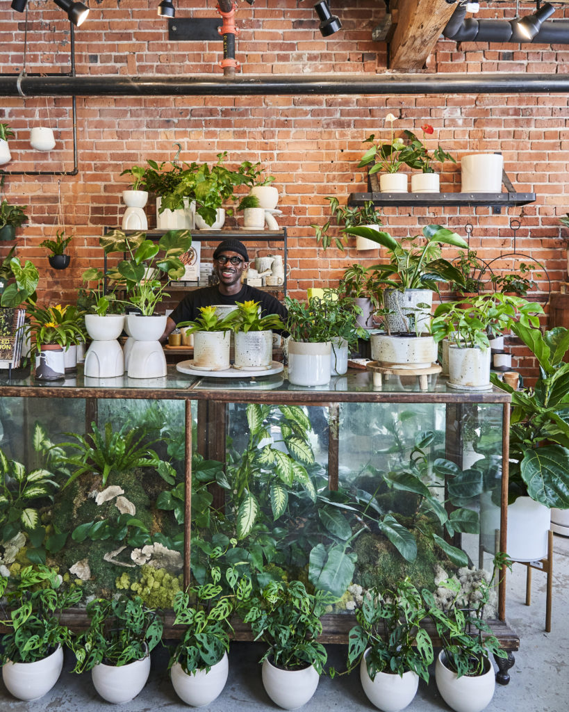 Glasswing plant shop in Seattle