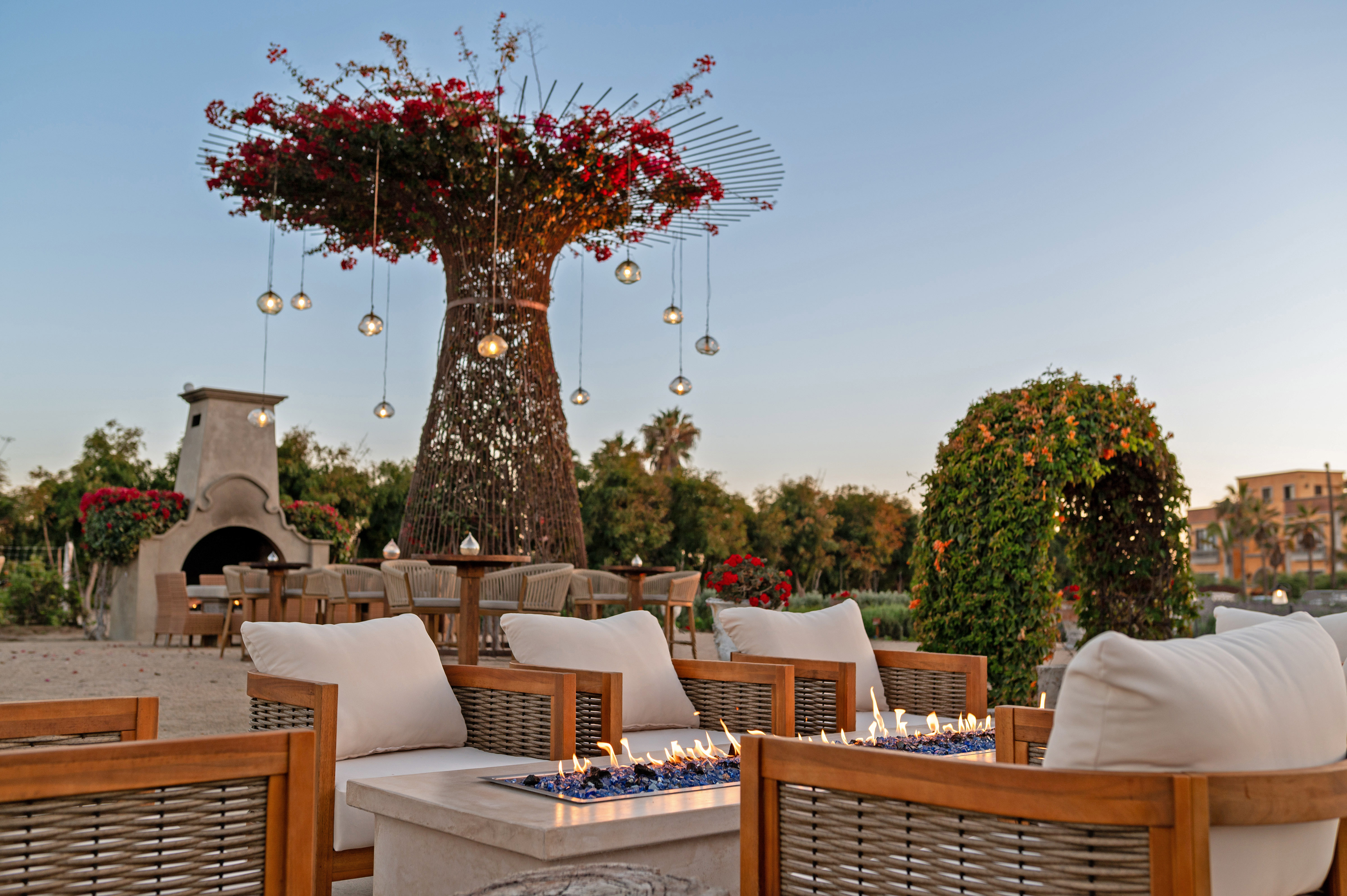 caracara-firepit