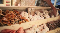 Golden State Papayas mushrooms