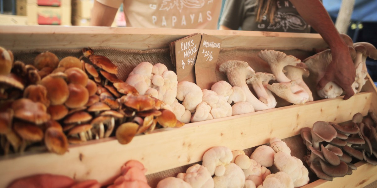 Golden State Papayas mushrooms