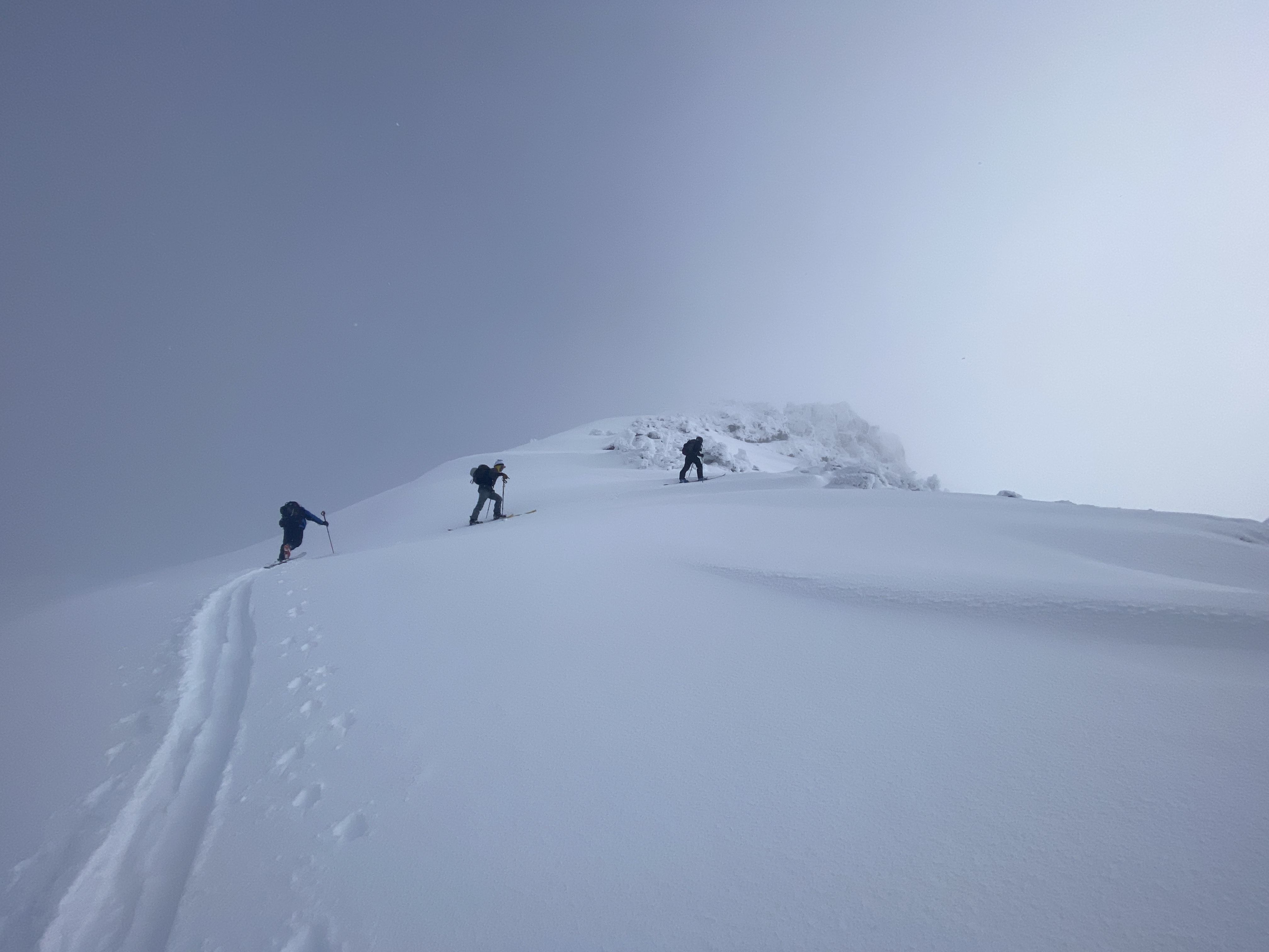 determined-to-get-to-the-top