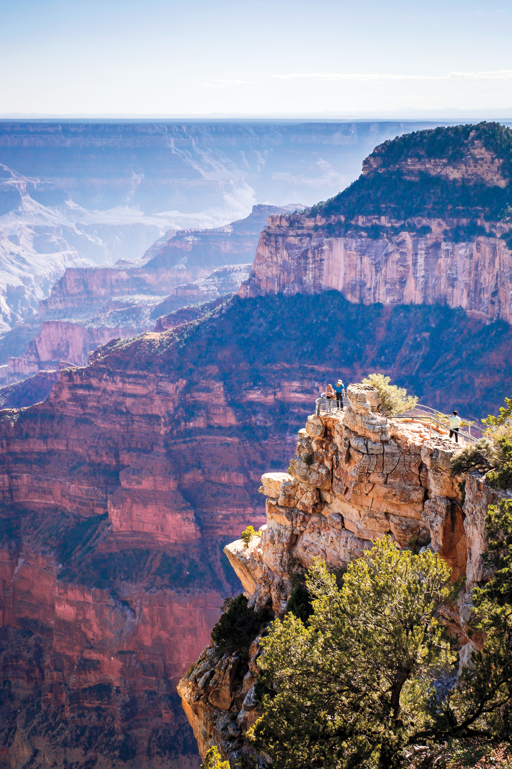 View at Grand Canyon National Park, Arizona - North Rim