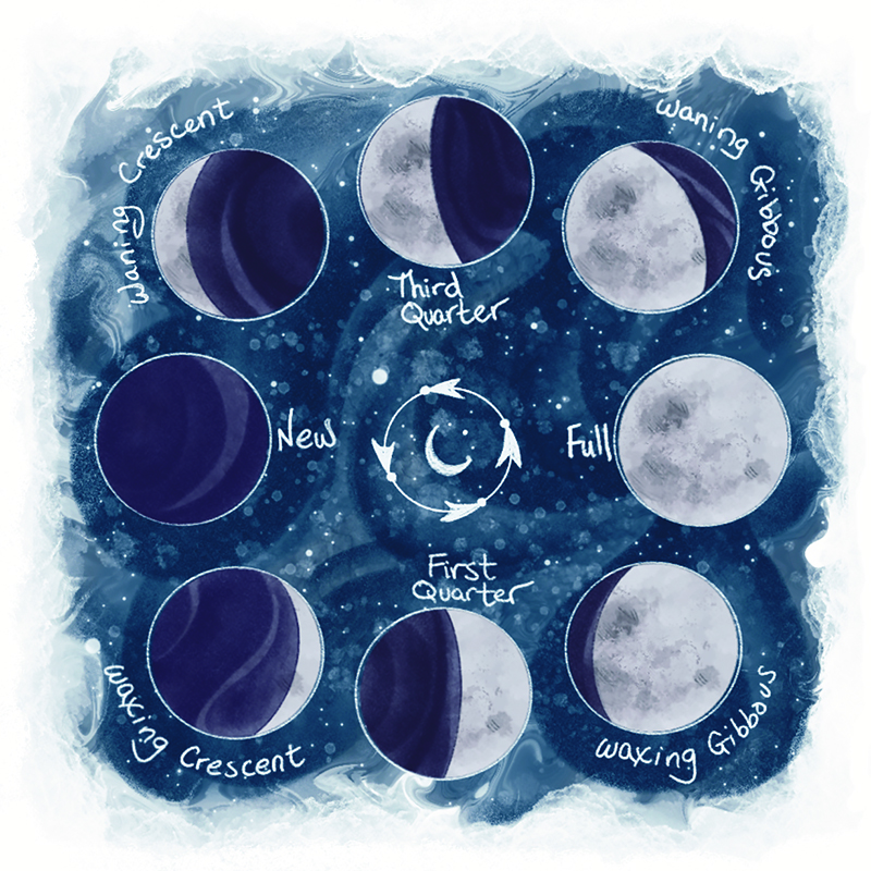 Plant a Witchy Moon Garden for Halloween