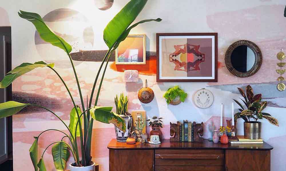 A Grow Light That Can Grow a Veriegated Monstera and look Stylish