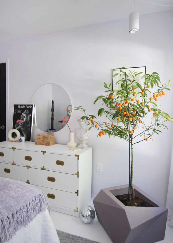 Finally a Grow Light That Can Grow a Monstera an Look Stylish