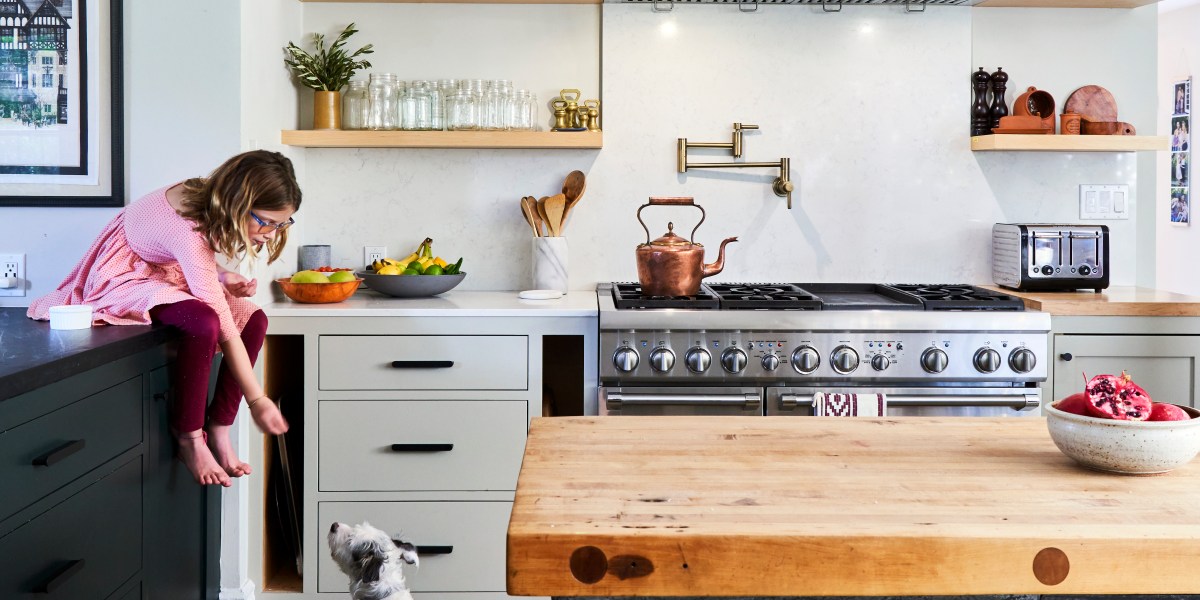 dog and cat friendly kitchen