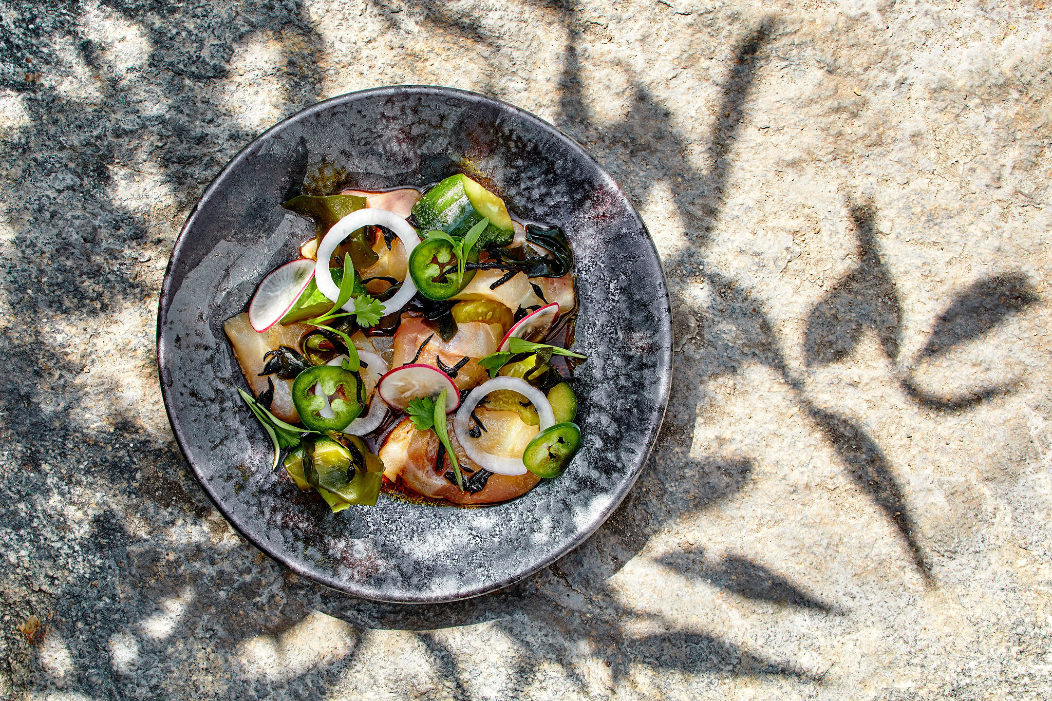 hansei_la-nikkei-ceviche_hansei-x-jaccc_photo-credit_-katrina-frederick