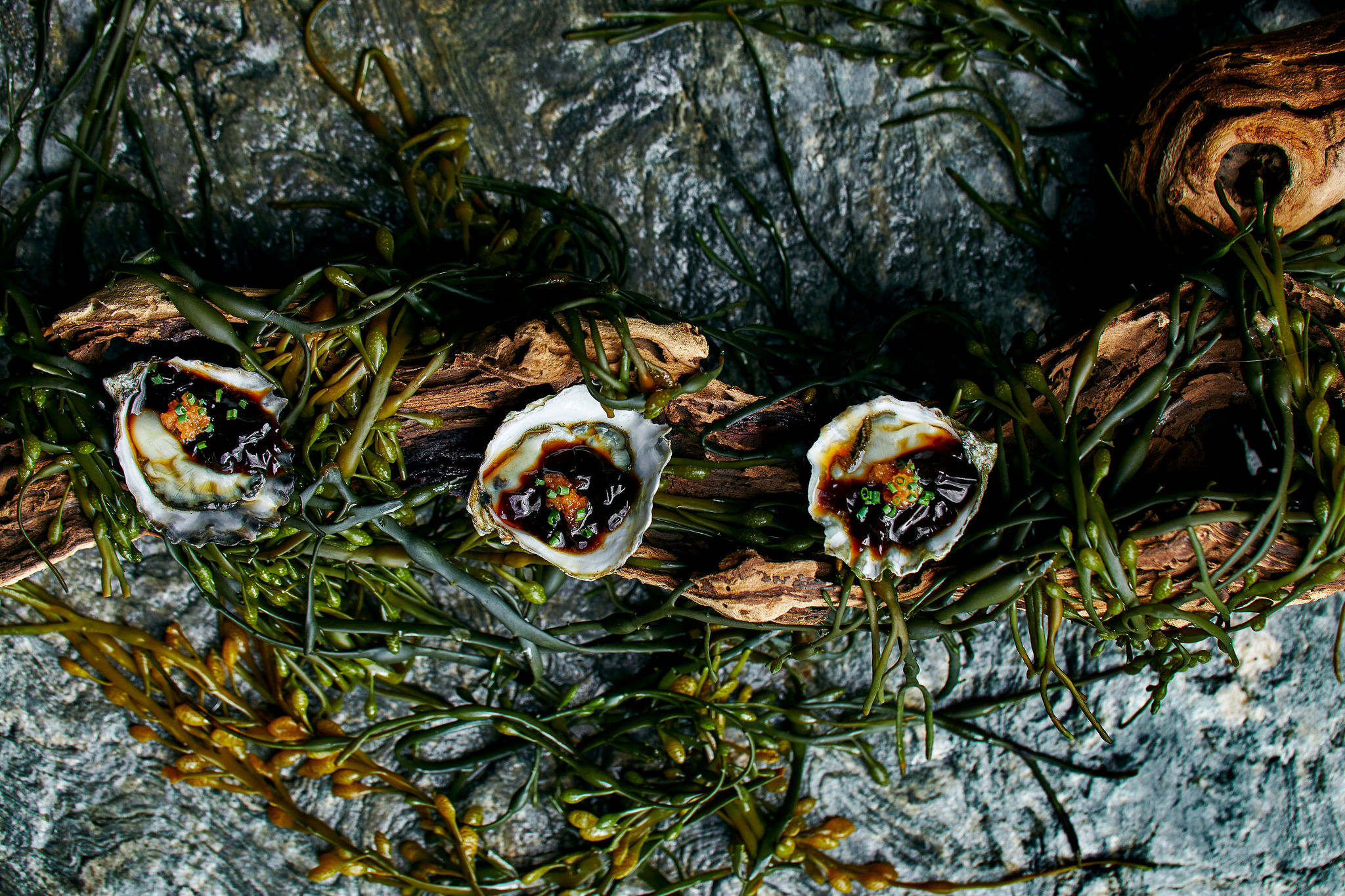 hansei_oysters_photo-credit_-katrina-frederick