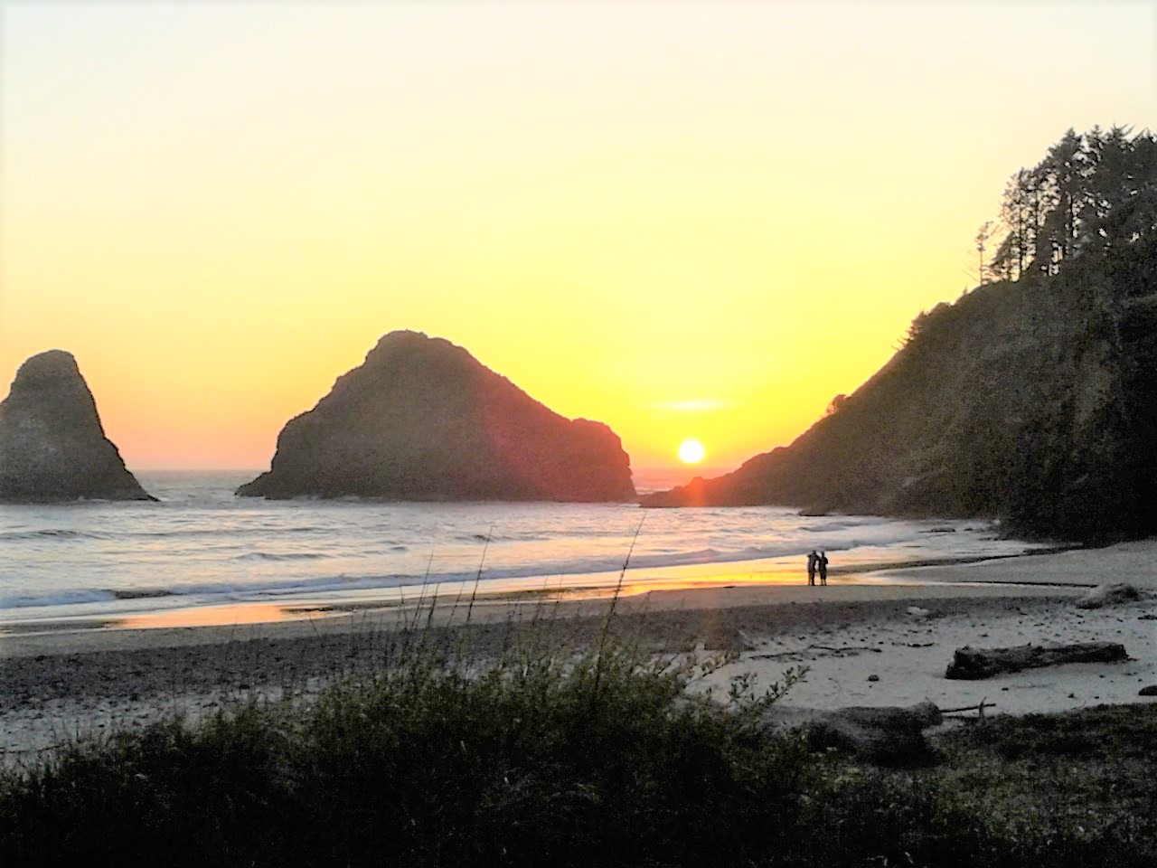 heceta-head-beach-sunset