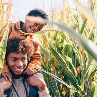 the-largest-corn-maze-in-southern-california-celebrates-harvest-season
