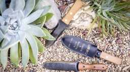 Hori Hori garden knife with succulent
