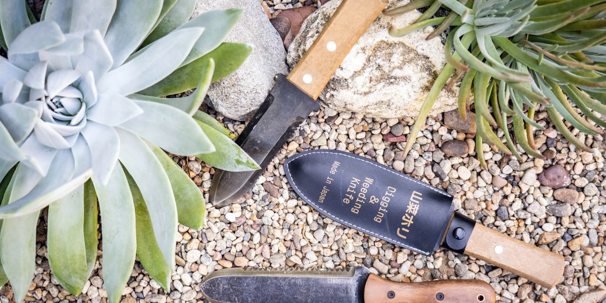 Hori Hori garden knife with succulent