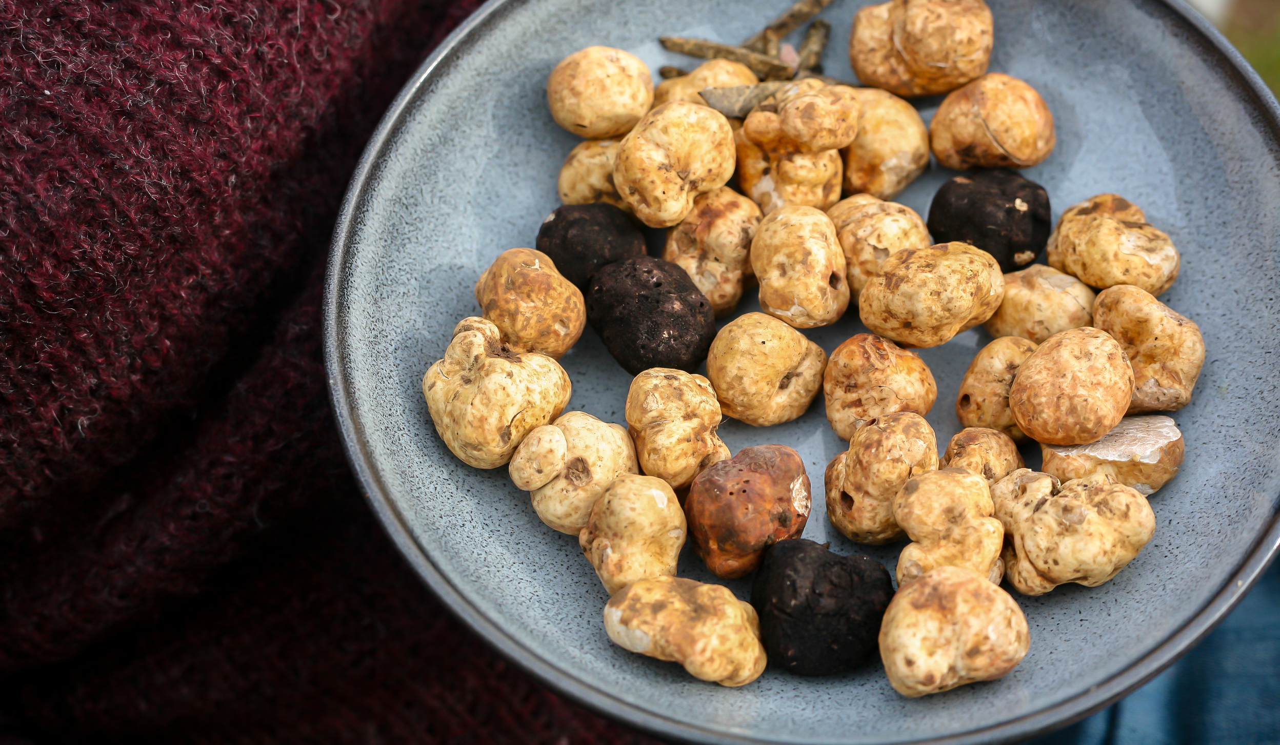 oregon-truffles