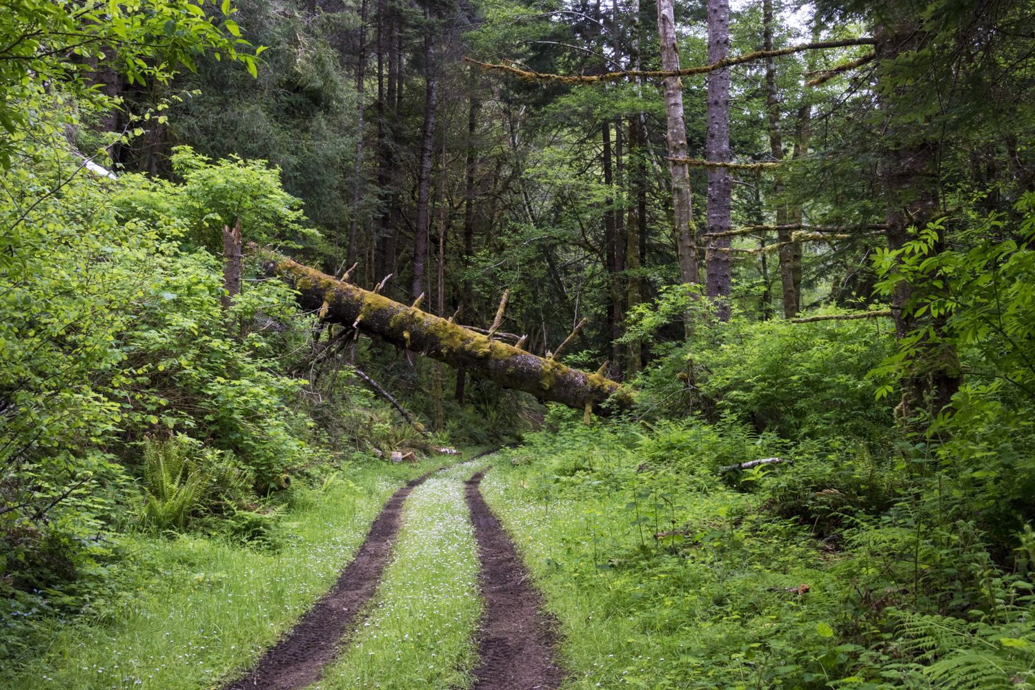 inn-at-newport-ranch-143