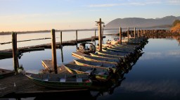 Row of boats at Kelly's Brighton Marina in Portland, Oregon