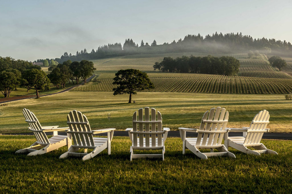Adirondack chairs at Stoller Family Estate in Willamette Valley, Oregon