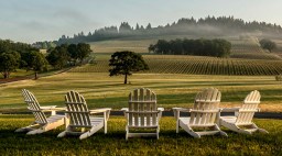 Adirondack chairs at Stoller Family Estate in Willamette Valley, Oregon