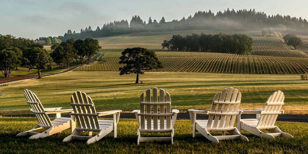 Adirondack chairs at Stoller Family Estate in Willamette Valley, Oregon