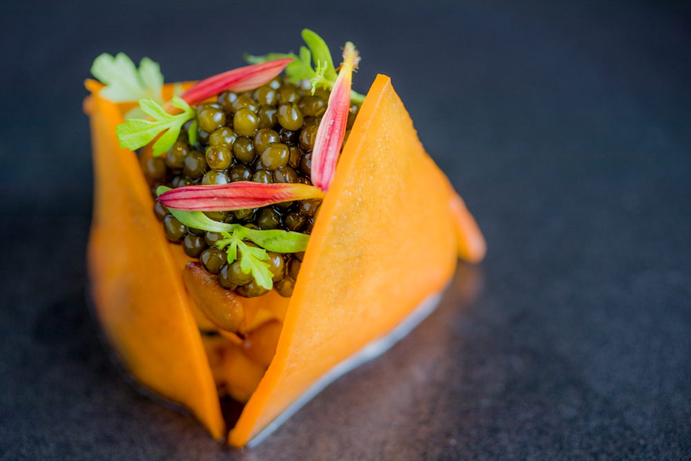 jbf-dinner-22_photo-by-kassie-borreson